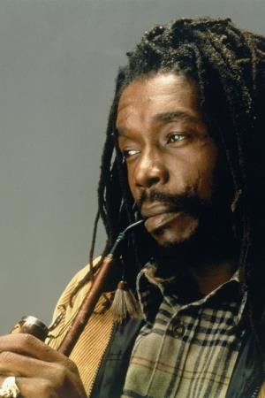 Peter Tosh's poster