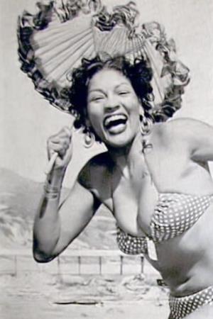 Suzette Harbin Poster