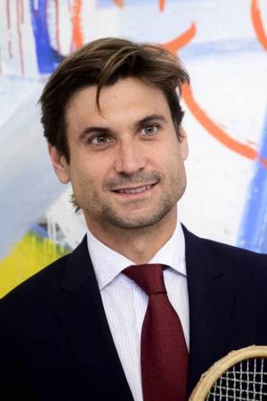 David Ferrer's poster