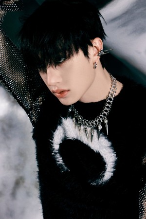 Bang Chan's poster