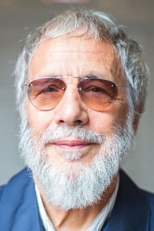 Cat Stevens's poster