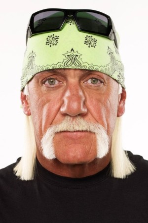 Terry Gene Bollea Poster