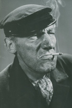 Emil Fjellström's poster
