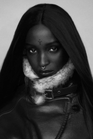 Lous and the Yakuza's poster