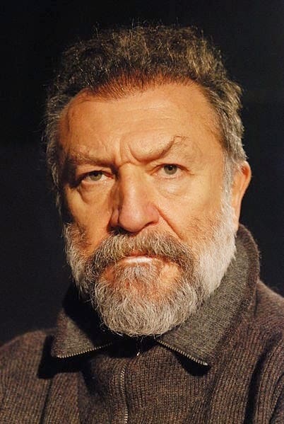 Tamer Levent Poster