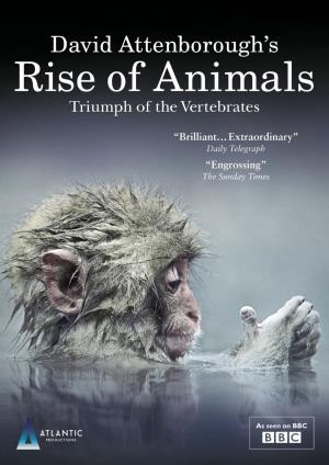 David Attenborough's Rise Of Animals's Poster
