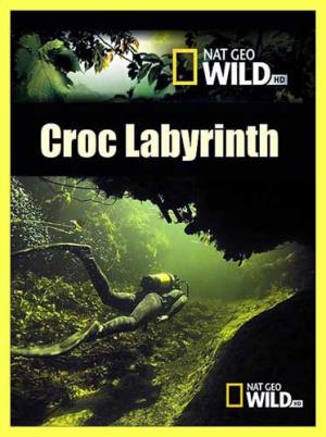 Croc Labyrinth's Poster
