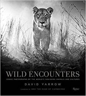Wild Encounters's Poster