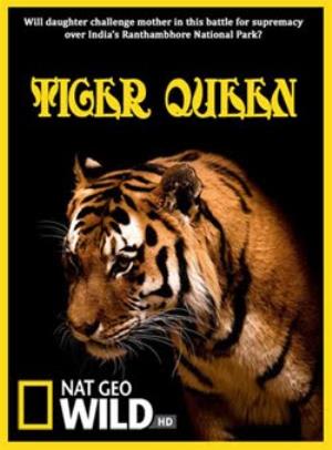 Tiger Queen's Poster