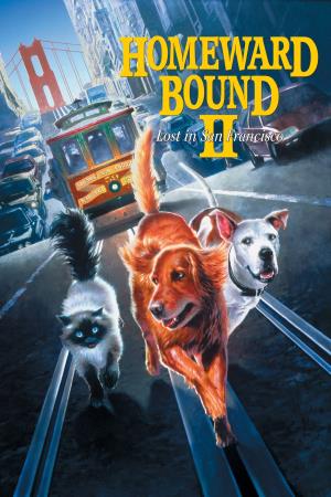 Homeward Bound 2: Lost In San Francisco's Poster