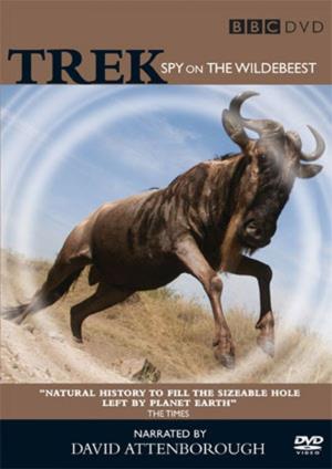 Trek: Spy on the Wildebeest's Poster