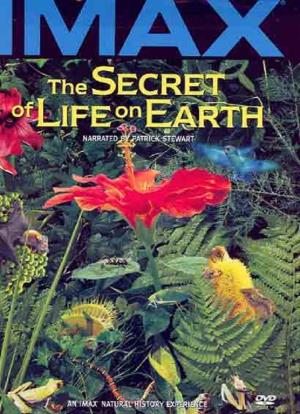 The Secret of Life on Earth's Poster