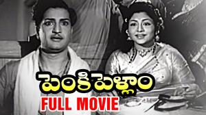 Penki Pellam's Poster