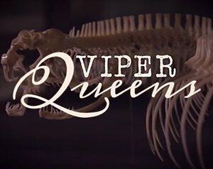 Viper Queens's Poster