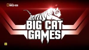 Big Cat Games's Poster
