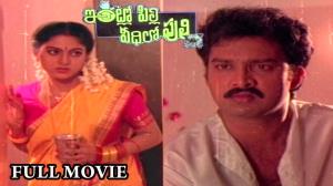 Intlo Pilli Veedhilo Puli's Poster