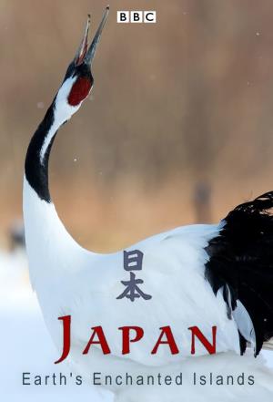 Japan's Wild Year's Poster