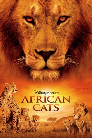 African Cats's Poster