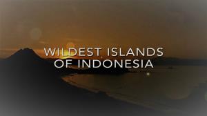 Wildest Islands Of Indonesia's Poster