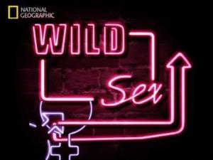 Wild Sex's Poster