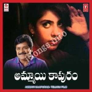 Ammayi kapuram's Poster