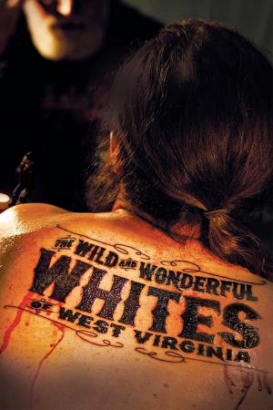 The Wild West's Poster
