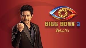 Bigg Boss Unseen's Poster