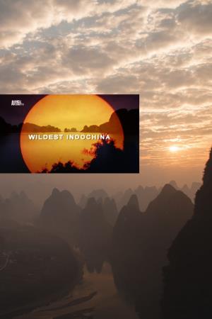 Wild Indochina's Poster