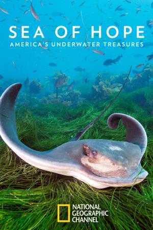 Sea of Hope: America's Underwater Treasures's Poster