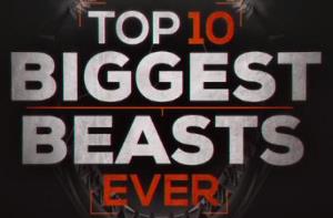 World's TOP 10 Beasts ever's Poster
