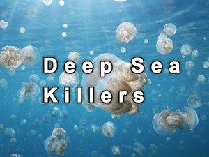 Deep Sea Killers's Poster