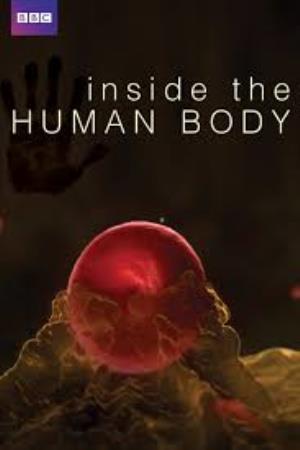 Inside The Human Body's Poster