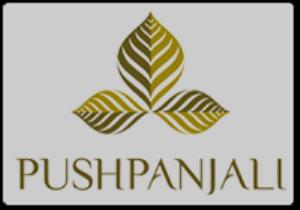 Puspanjali's Poster