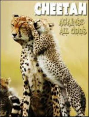 Cheetah: Against All Odds's Poster