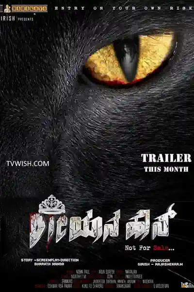 Dayen House 100's Poster