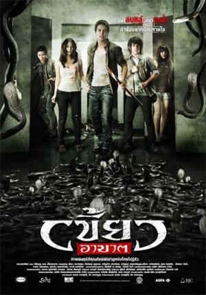 The King Cobra & I's Poster