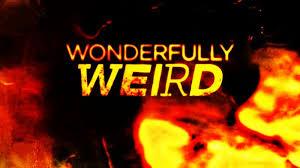 Wonderfully Weird's Poster