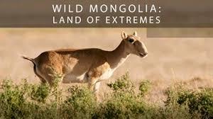 Wild Mongolia: Land Of Extremes's Poster