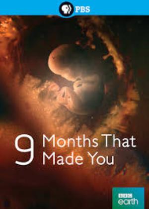 Nine Months That Made You's Poster