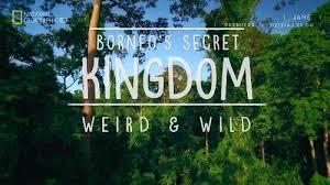 Borneo's Secret Kingdom: Weird And Wild's Poster