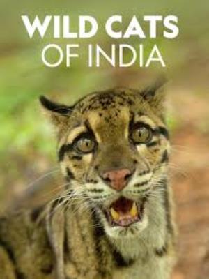 Wild Cats Of India's Poster