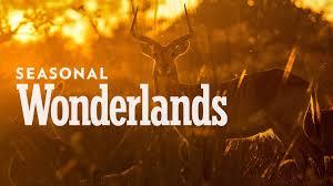 Seasonal Wonderlands's Poster