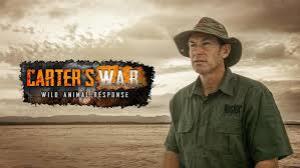 Carter's W.A.R.'s Poster