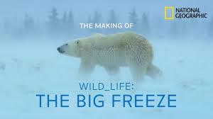 Wild Life: The Big Freeze's Poster