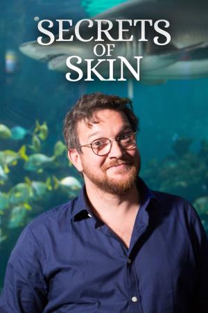 Secrets Of Skin's Poster