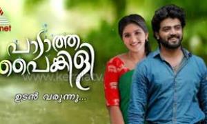 Paadatha Painkili's Poster