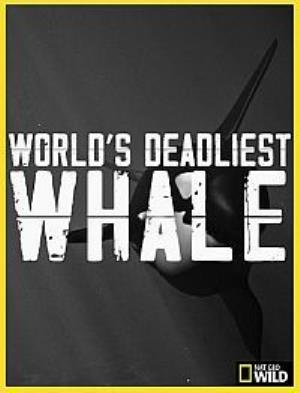 World's Deadliest Whale's Poster