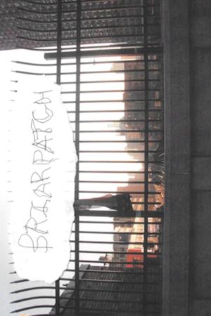 Briarpatch's Poster
