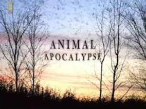 Animal Apocalypse: Paranatural's Poster