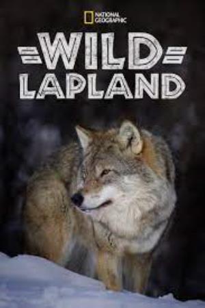 Wild Lapland's Poster